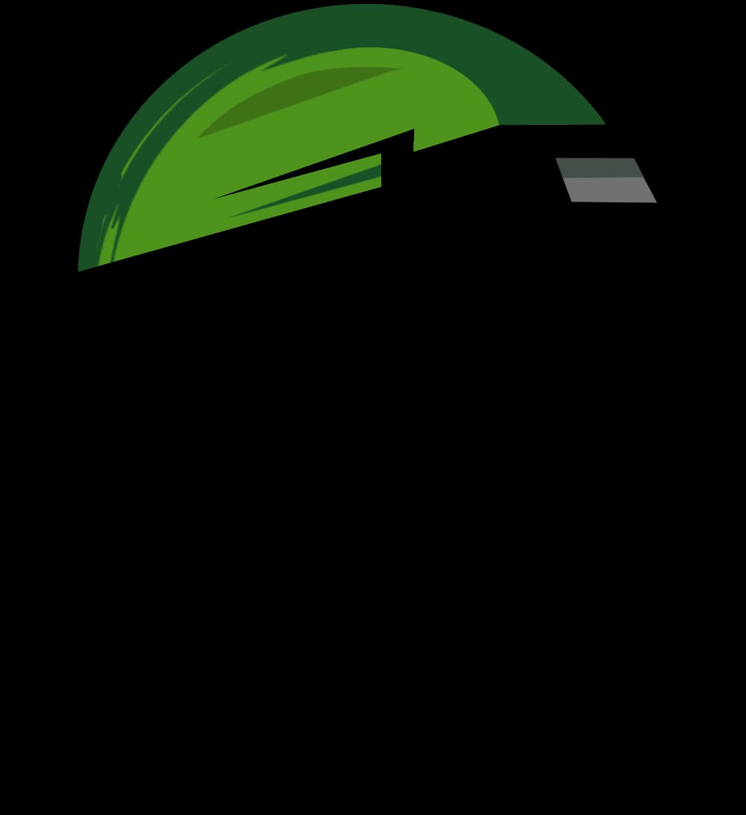 Partner 5